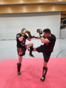 Schienbeinblock Lowkick